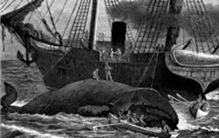 Women In The Whaling Industry | Christine Brin